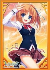 Bushiroad Sleeve Collection High-grade Vol. 0560 Reminiscence 
